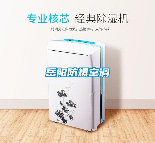 岳陽(yáng)防爆空調(diào)