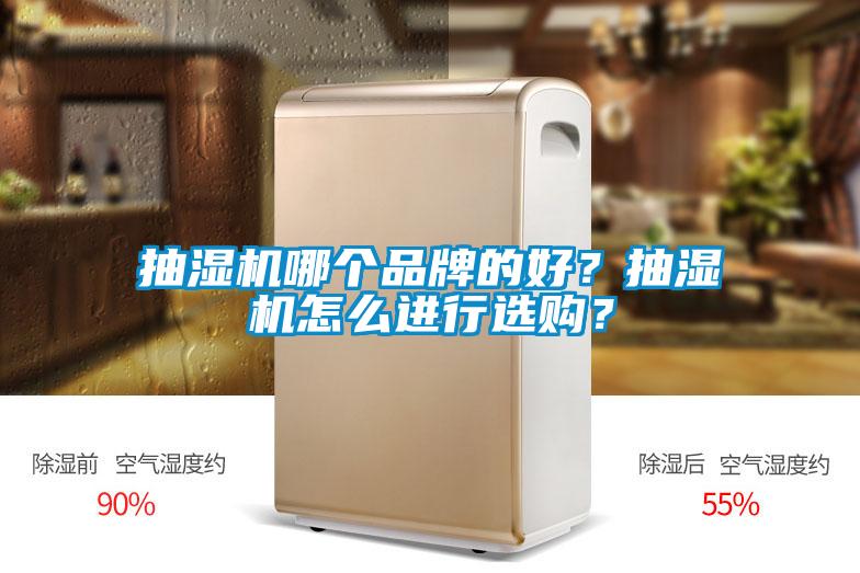抽濕機哪個品牌的好?抽濕機怎么進行選購?