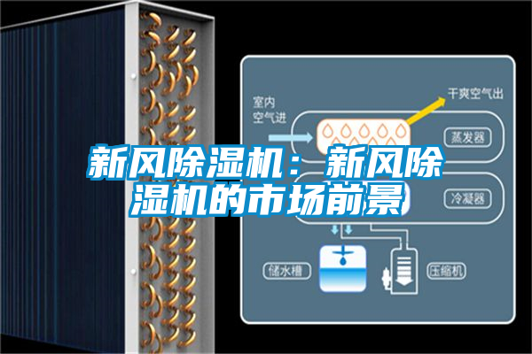 新風(fēng)除濕機:新風(fēng)除濕機的市場前景