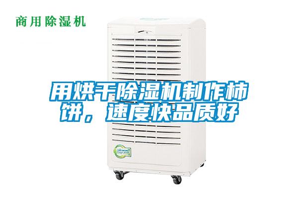 用烘干除濕機(jī)制作柿餅，速度快品質(zhì)好