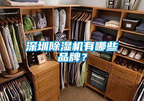深圳除濕機有哪些品牌？