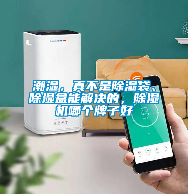 潮濕，真不是除濕袋、除濕盒能解決的，除濕機哪個牌子好