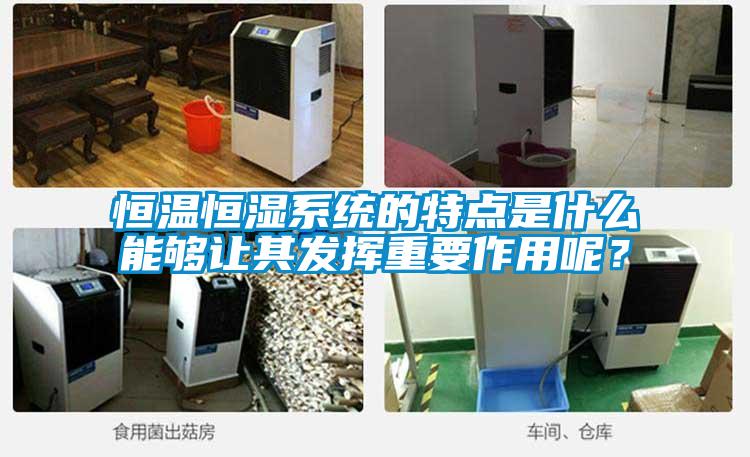 恒溫恒濕系統(tǒng)的特點(diǎn)是什么能夠讓其發(fā)揮重要作用呢?
