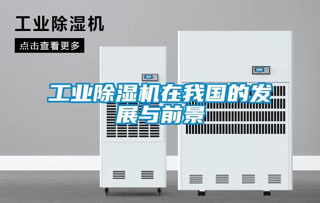 工業(yè)除濕機在我國的發(fā)展與前景