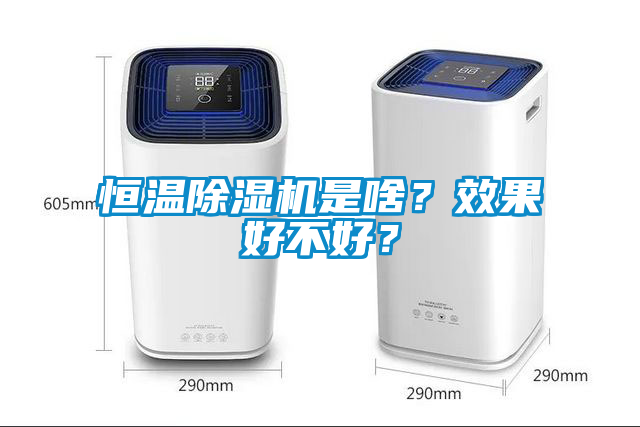 恒溫除濕機是啥?效果好不好?