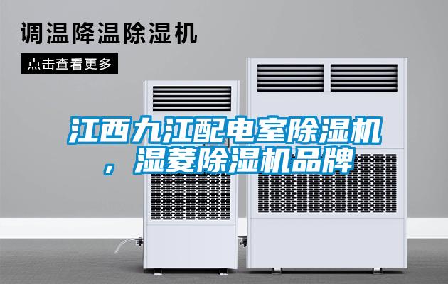 江西九江配電室除濕機，濕菱除濕機品牌