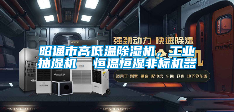 昭通市高低溫除濕機，工業抽濕機  恒溫恒濕非標機器