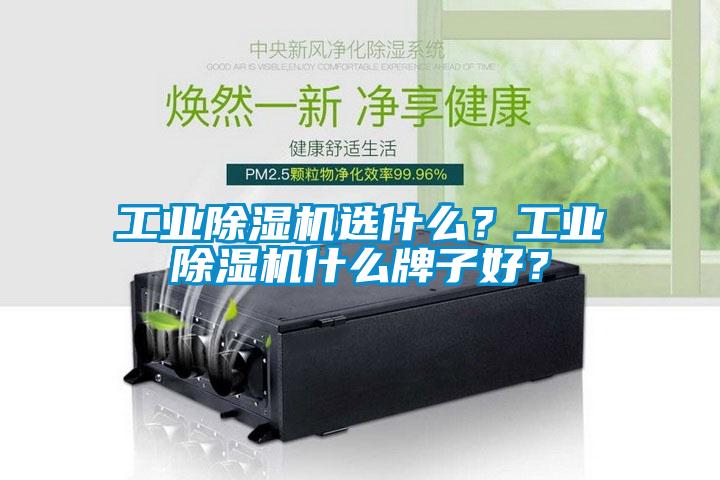 工業(yè)除濕機(jī)選什么？工業(yè)除濕機(jī)什么牌子好？