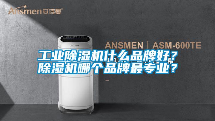 工業除濕機什么品牌好？除濕機哪個品牌最專業？