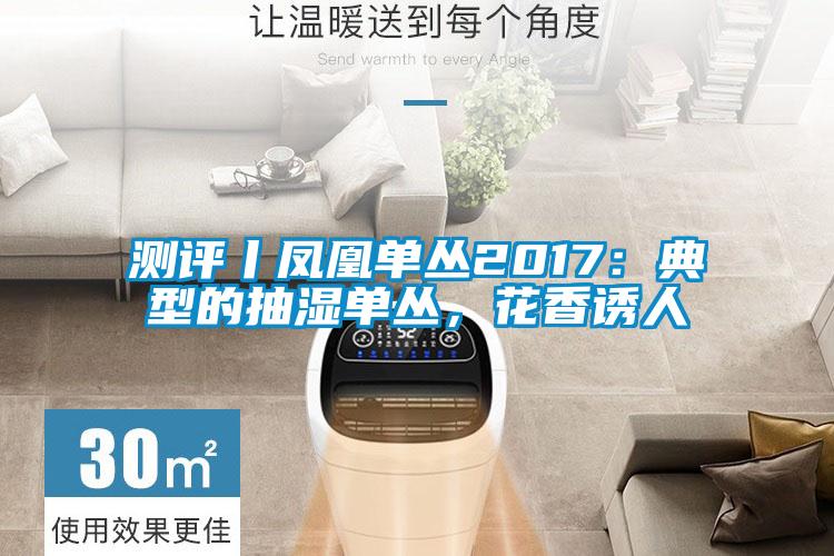 測評丨鳳凰單叢2017：典型的抽濕單叢，花香誘人