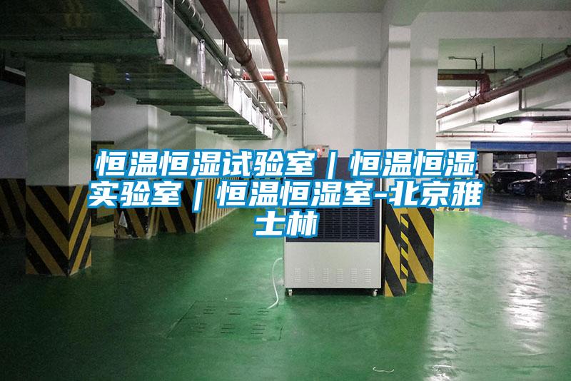 恒溫恒濕試驗室|恒溫恒濕實(shí)驗室|恒溫恒濕室-北京雅士林