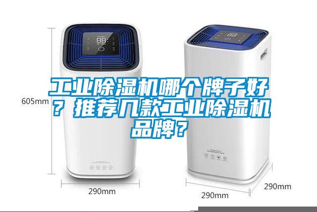 工業(yè)除濕機(jī)哪個(gè)牌子好?推薦幾款工業(yè)除濕機(jī)品牌?