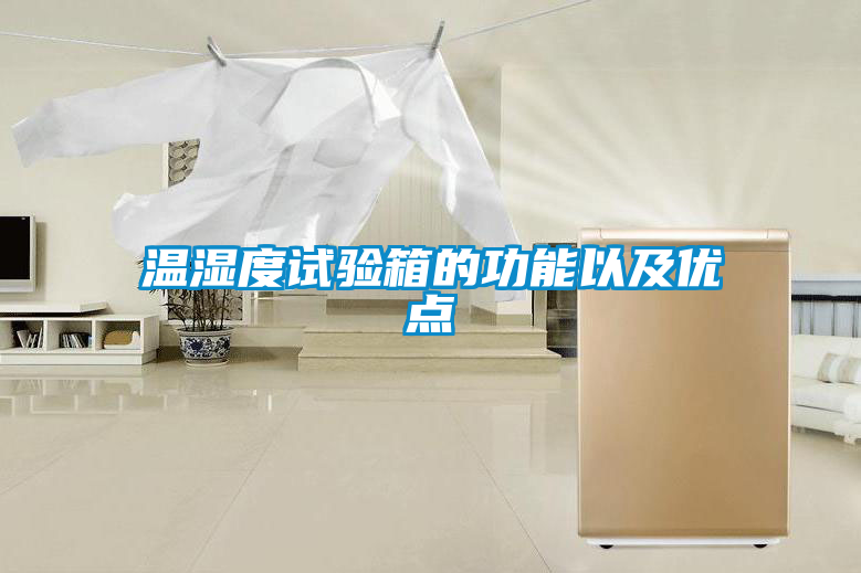 溫濕度試驗(yàn)箱的功能以及優(yōu)點(diǎn)