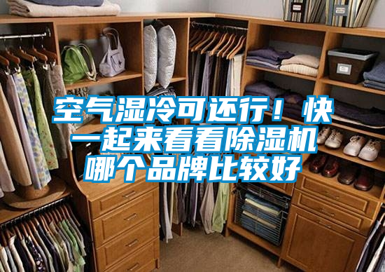 空氣濕冷可還行!快一起來看看除濕機(jī)哪個(gè)品牌比較好