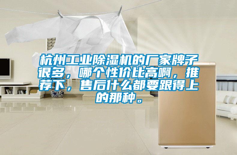 杭州工業除濕機的廠家牌子很多,哪個性價比高啊,推薦下,售后什么都要跟得上的那種。