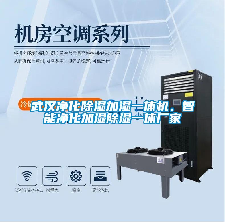 武漢凈化除濕加濕一體機，智能凈化加濕除濕一體廠家
