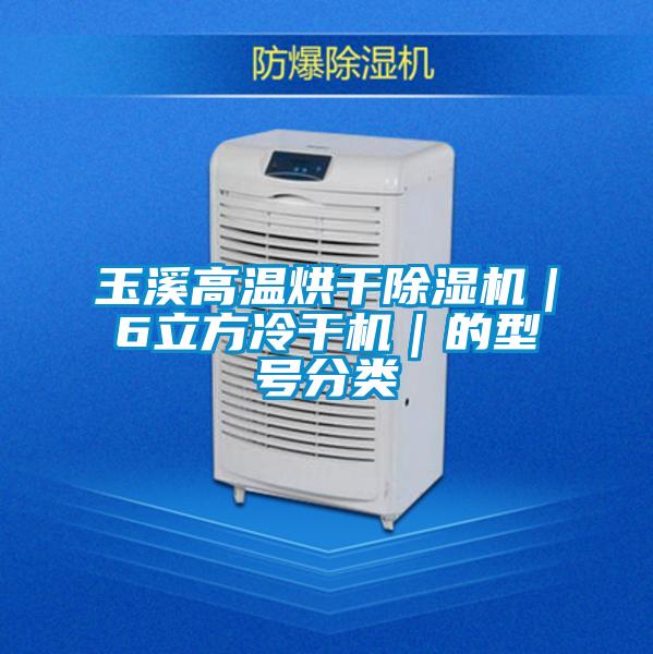 玉溪高溫烘干除濕機(jī)|6立方冷干機(jī)|的型號(hào)分類