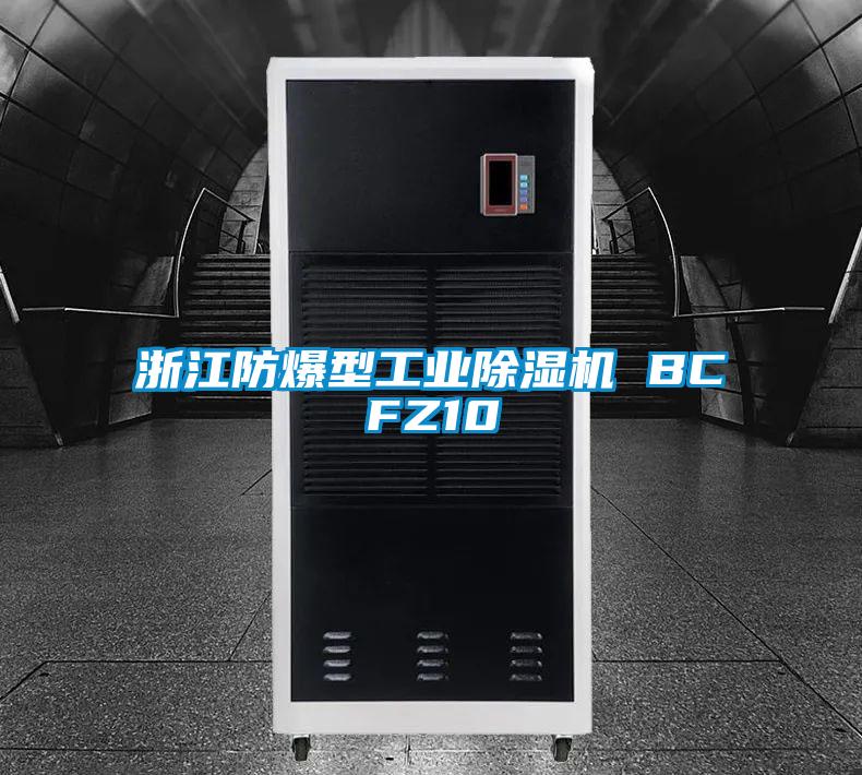 浙江防爆型工業除濕機 BCFZ10