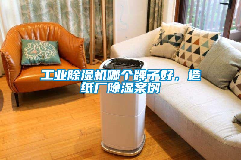 工業除濕機哪個牌子好,造紙廠除濕案例