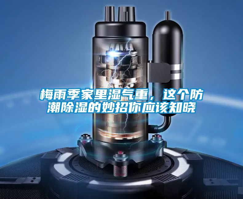 梅雨季家里濕氣重，這個防潮除濕的妙招你應(yīng)該知曉