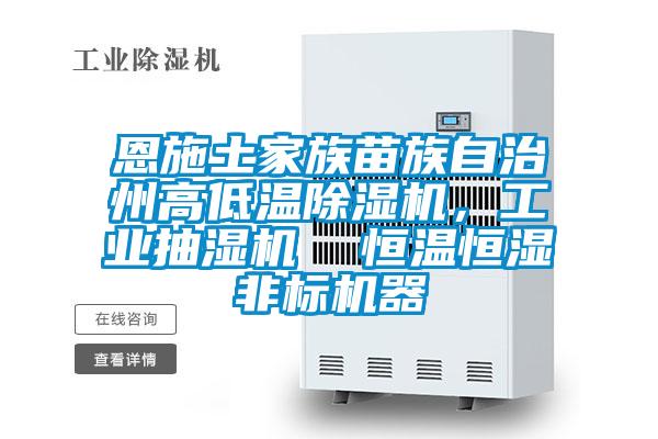 恩施土家族苗族自治州高低溫除濕機，工業抽濕機  恒溫恒濕非標機器