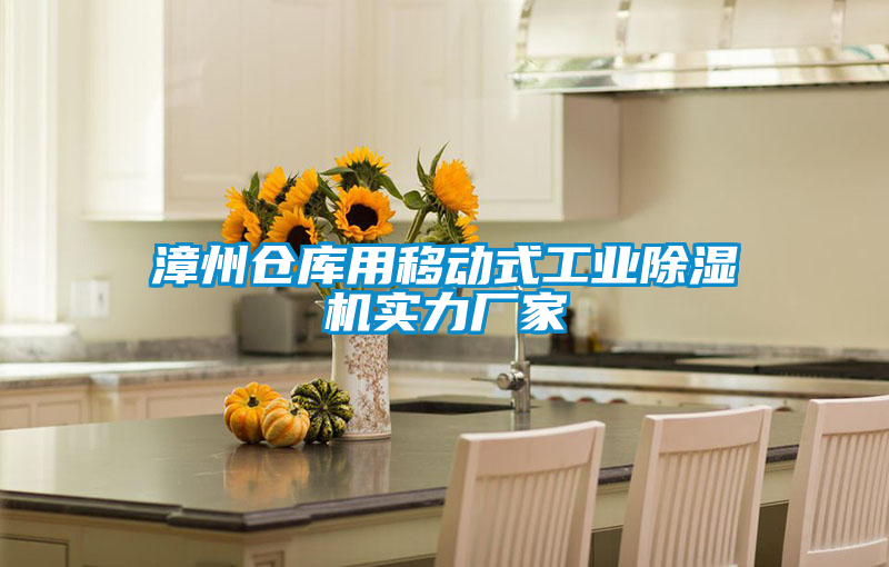 漳州倉庫用移動(dòng)式工業(yè)除濕機(jī)實(shí)力廠家
