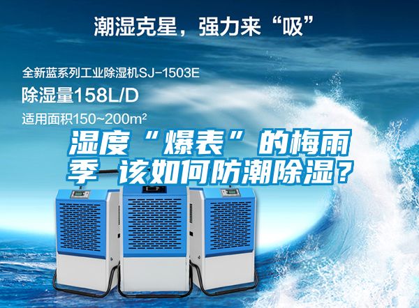 濕度“爆表”的梅雨季 該如何防潮除濕？
