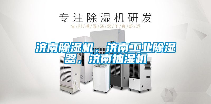 濟南除濕機，濟南工業除濕器，濟南抽濕機