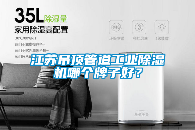 江蘇吊頂管道工業除濕機哪個牌子好?