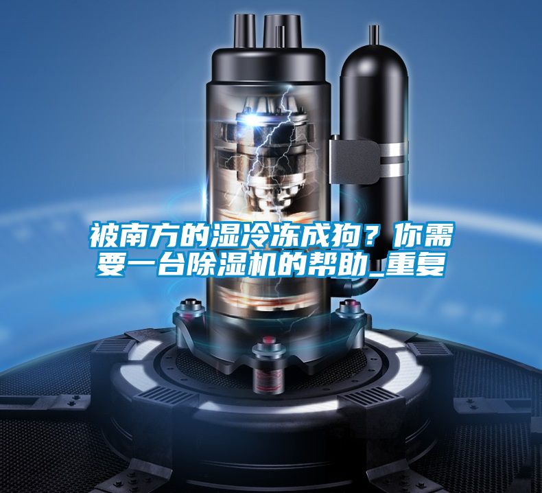 被南方的濕冷凍成狗？你需要一臺除濕機(jī)的幫助_重復(fù)