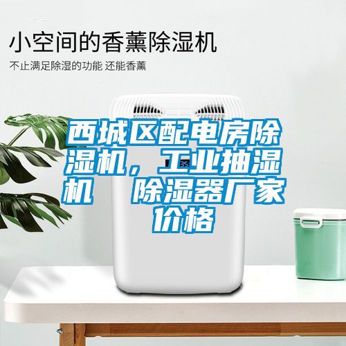 西城區(qū)配電房除濕機(jī)，工業(yè)抽濕機(jī)  除濕器廠家 價(jià)格