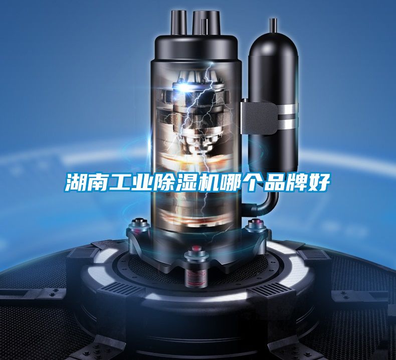 湖南工業除濕機哪個品牌好