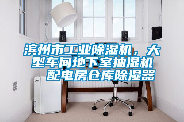 濱州市工業除濕機，大型車間地下室抽濕機  配電房倉庫除濕器