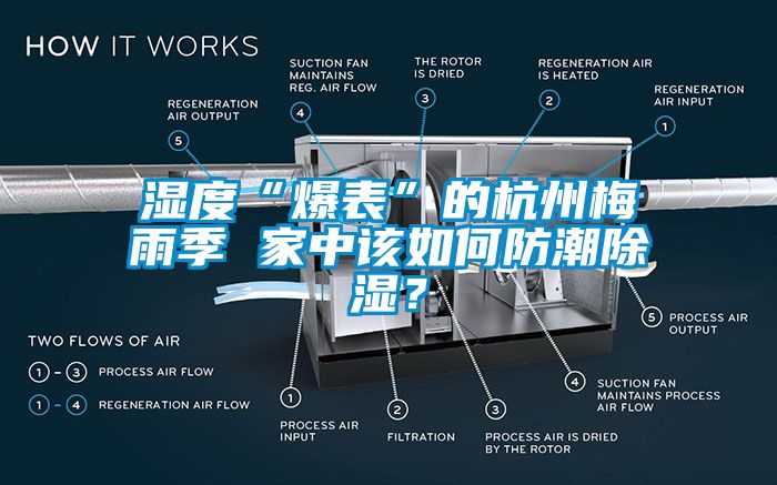 濕度“爆表”的杭州梅雨季 家中該如何防潮除濕?