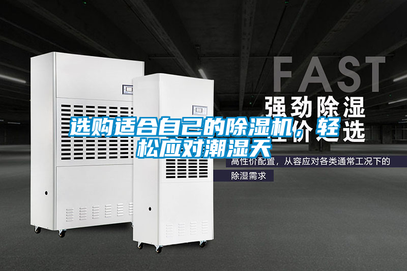 選購適合自己的除濕機,輕松應對潮濕天