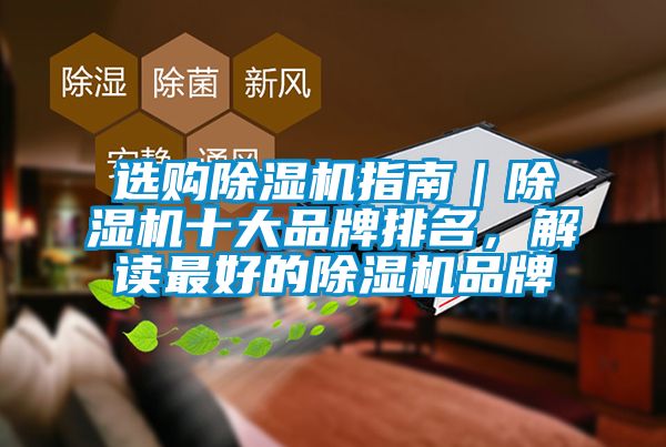 選購除濕機指南|除濕機十大品牌排名,解讀最好的除濕機品牌