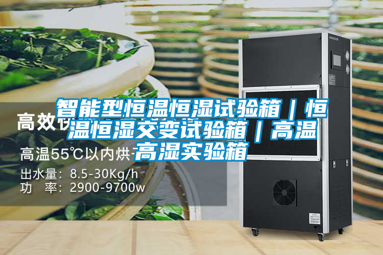 智能型恒溫恒濕試驗(yàn)箱|恒溫恒濕交變?cè)囼?yàn)箱|高溫高濕實(shí)驗(yàn)箱