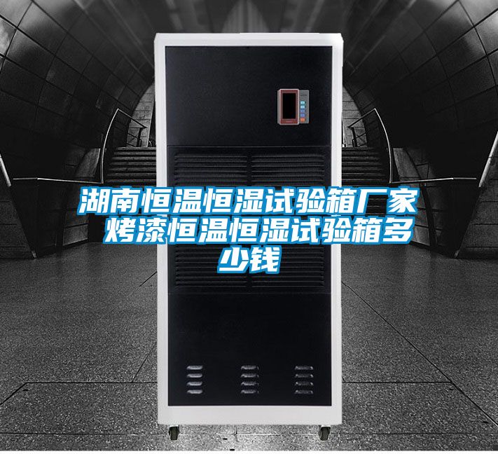湖南恒溫恒濕試驗(yàn)箱廠(chǎng)家 烤漆恒溫恒濕試驗(yàn)箱多少錢(qián)