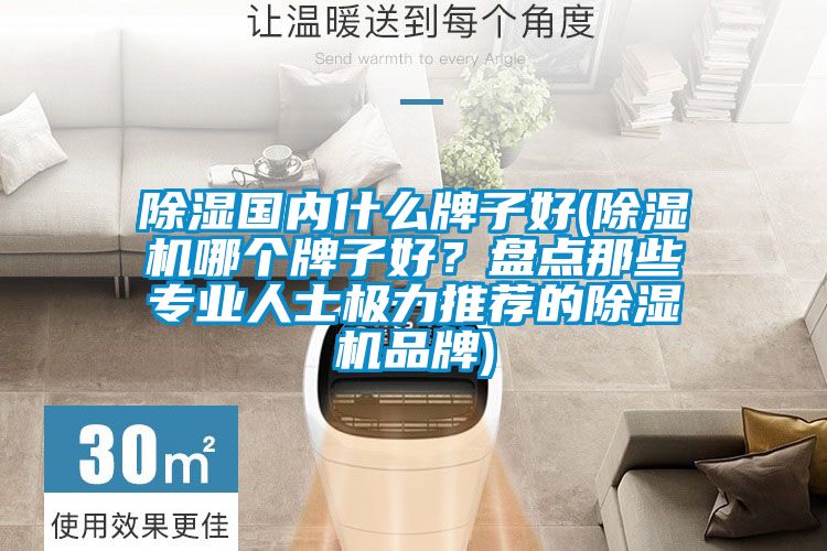 除濕國內(nèi)什么牌子好(除濕機(jī)哪個(gè)牌子好?盤點(diǎn)那些專業(yè)人士極力推薦的除濕機(jī)品牌)