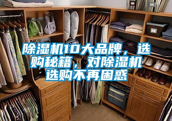 除濕機10大品牌,選購秘籍,對除濕機選購不再困惑