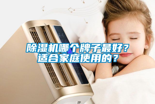 除濕機(jī)哪個(gè)牌子最好？適合家庭使用的？