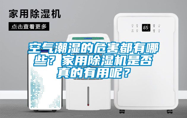 空氣潮濕的危害都有哪些?家用除濕機是否真的有用呢?