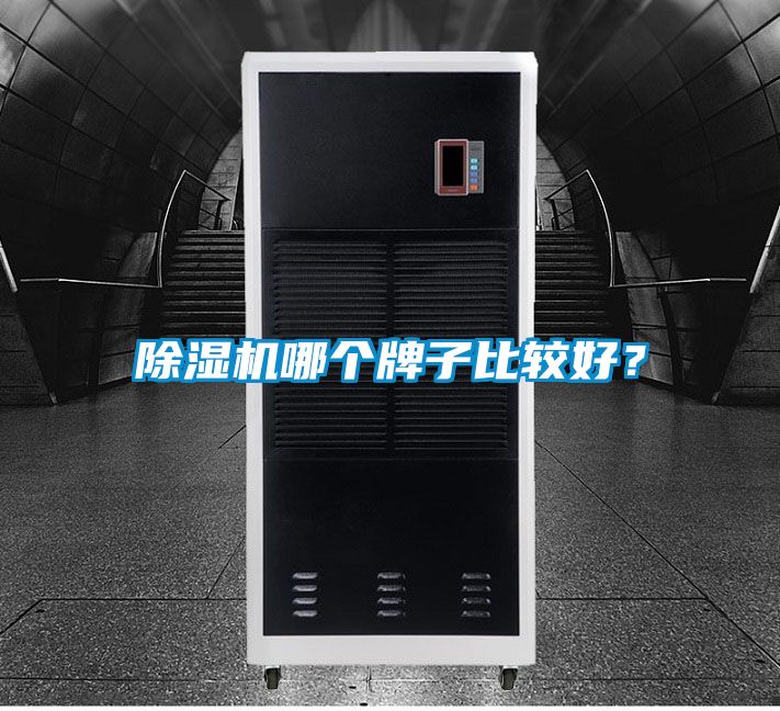 除濕機哪個牌子比較好？