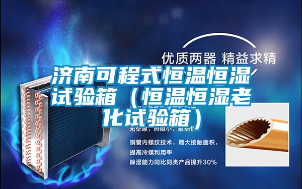 濟(jì)南可程式恒溫恒濕試驗(yàn)箱(恒溫恒濕老化試驗(yàn)箱)