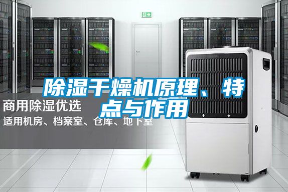 除濕干燥機原理、特點與作用