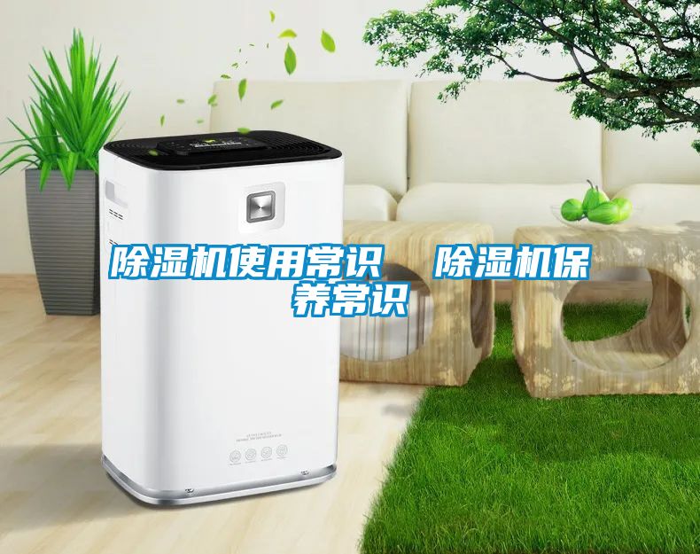 除濕機使用常識  除濕機保養(yǎng)常識