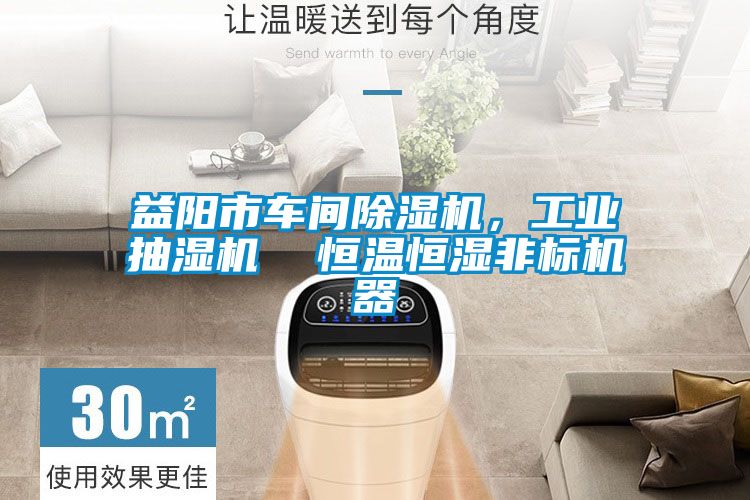 益陽市車間除濕機,工業(yè)抽濕機 恒溫恒濕非標機器