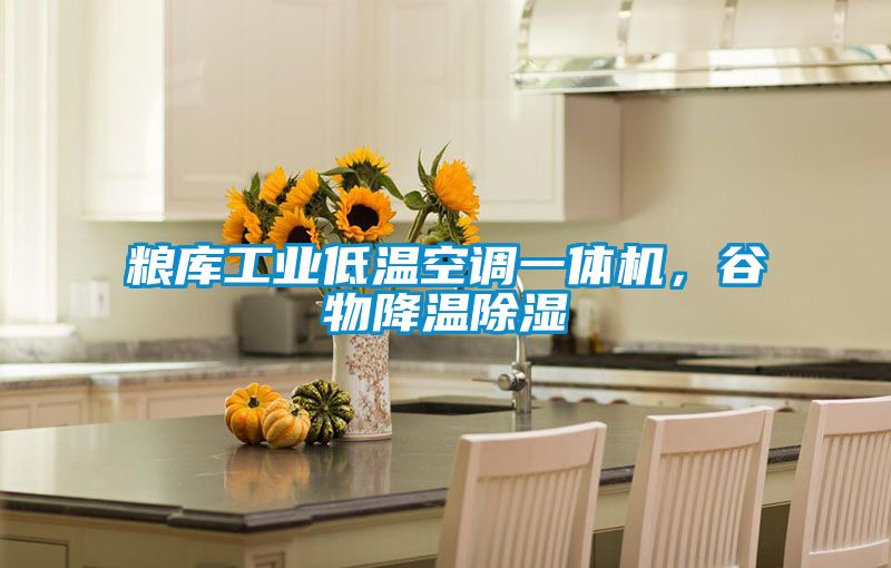 糧庫工業低溫空調一體機，谷物降溫除濕