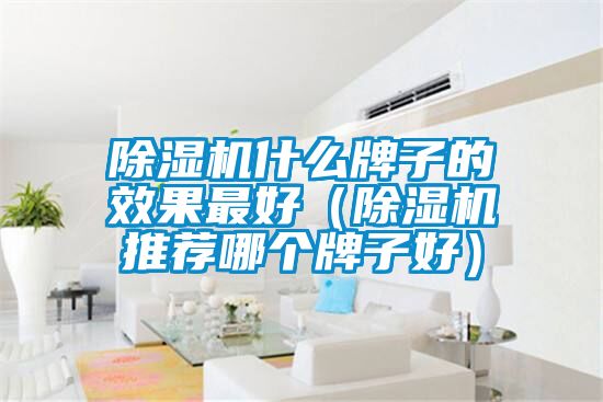 除濕機什么牌子的效果最好(除濕機推薦哪個牌子好)