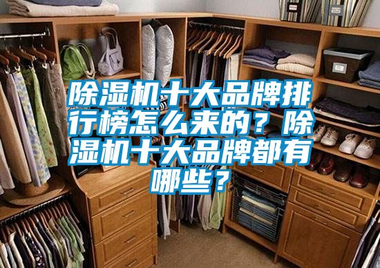 除濕機十大品牌排行榜怎么來的？除濕機十大品牌都有哪些？